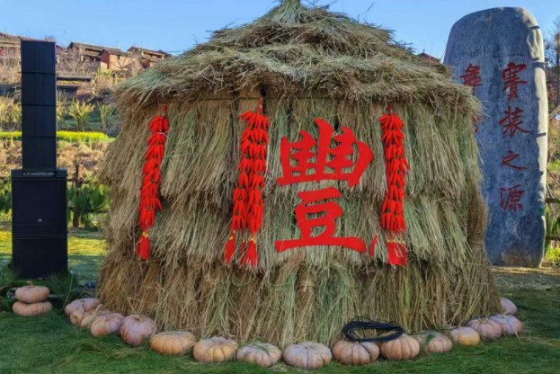 共赴“千年赛装，一赛千年”之约 SE德国美高音响奏响彝族直苴赛装节